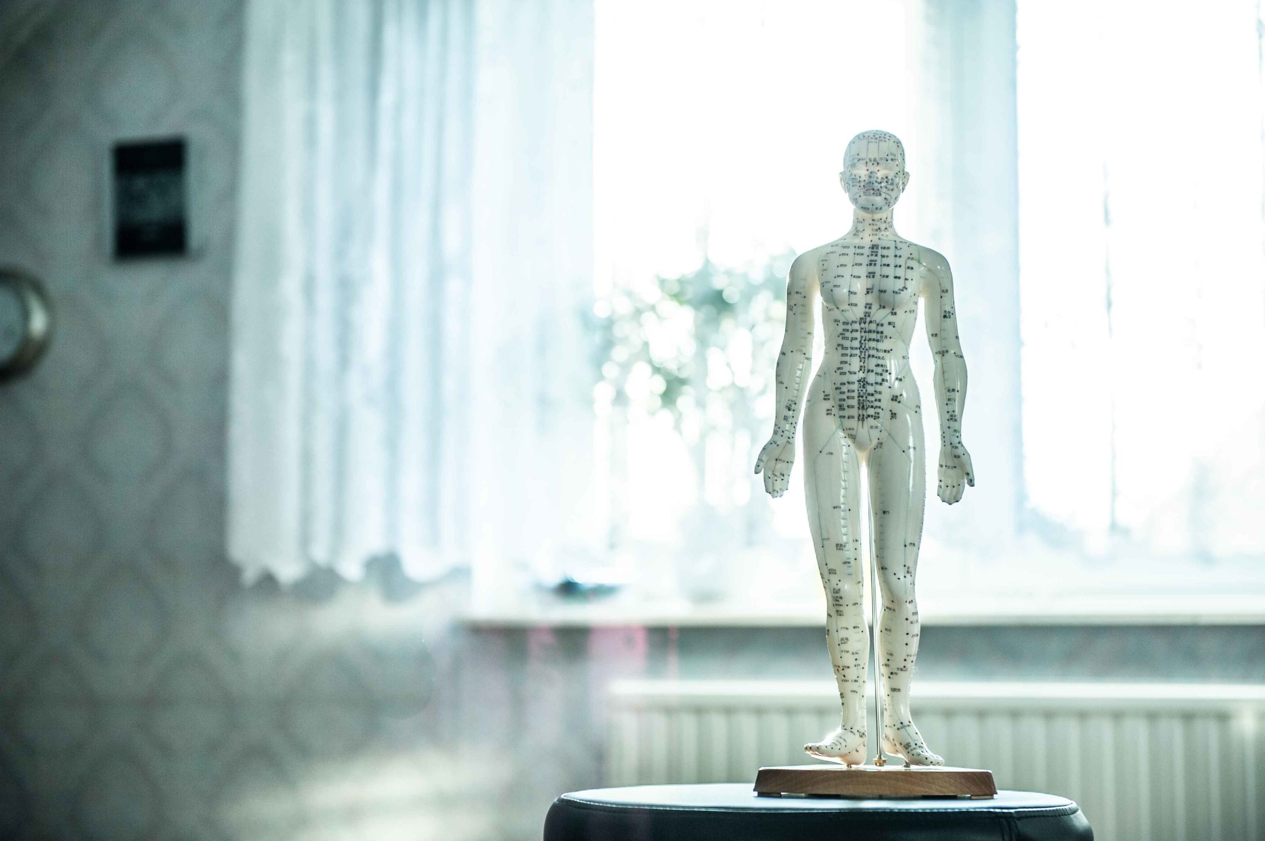 maniquí de muñeco con puntos marcados