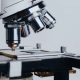 Microscopio profesional