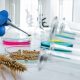 Laboratorio con muestras de trigo