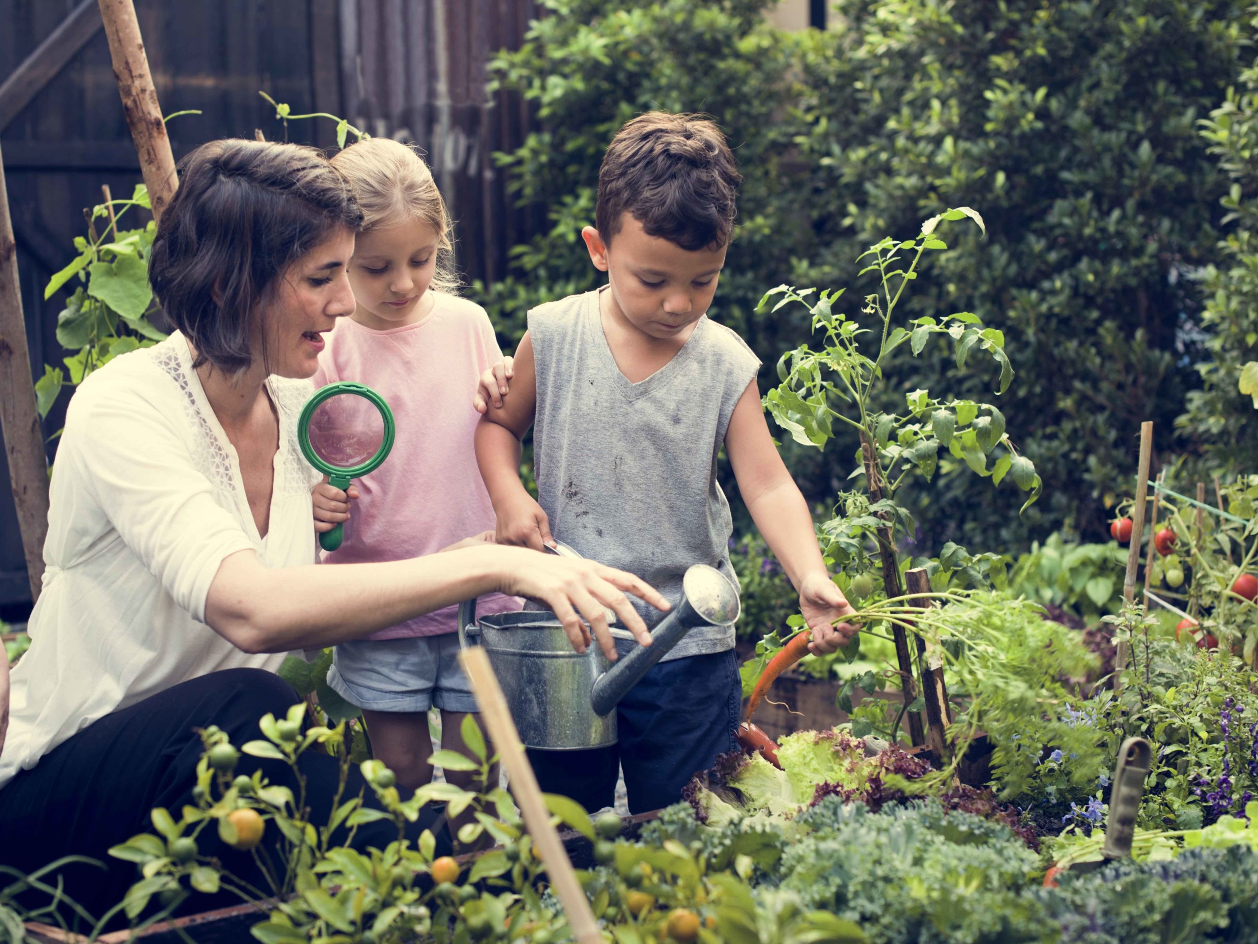 Niños con profesora mirando plantas con una lupa