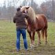 Hombre con caballo