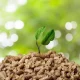 Energías Renovables: Especialidad Biomasa (ENAE010PO)