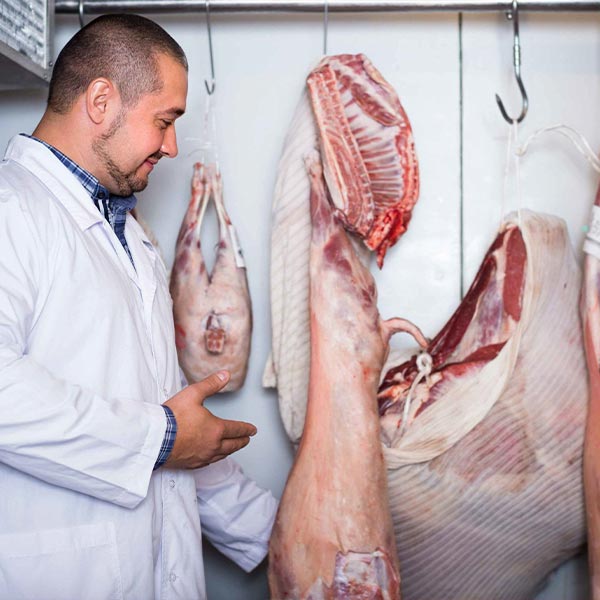Recepción y Almacenamiento de Pescados y Mariscos (INAI04)