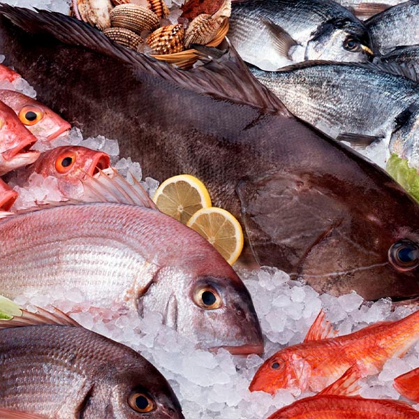 Recepción y Almacenamiento de Pescados y Mariscos (INAJ02)